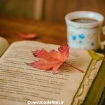 676773b0-33a7-11ee-855a-5944f4a15701